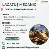 Lacatus mecanic confectii metalice - Dragomiresti Vale